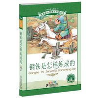 钢铁是怎么炼成的